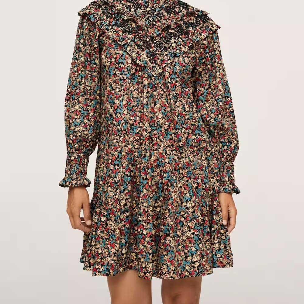 Embroidered printed floral dress
